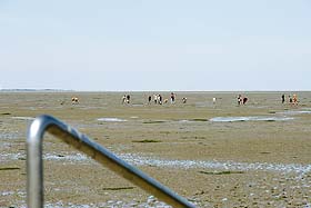 Ebbe und Flut - die Gezeiten in Harlesiel